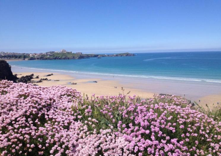 Atlantic Reach Cottages, Newquay 6 Miles, 2 Bedrooms 외부 사진
